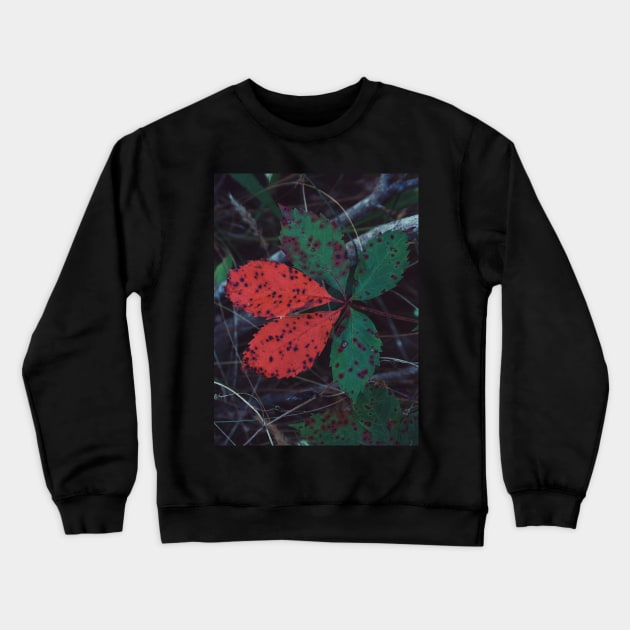 Virginia Creeper Crewneck Sweatshirt by tessiaphoto